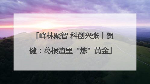 峰林聚智 科创兴张丨贺健：葛根渣里“炼”黄金