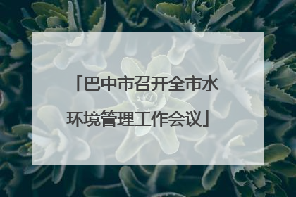 巴中市召开全市水环境管理工作会议
