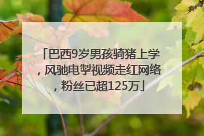 巴西9岁男孩骑猪上学，风驰电掣视频走红网络，粉丝已超125万