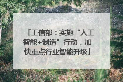 工信部：实施“人工智能+制造”行动，加快重点行业智能升级