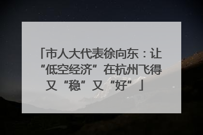 市人大代表徐向东：让“低空经济”在杭州飞得又“稳”又“好”