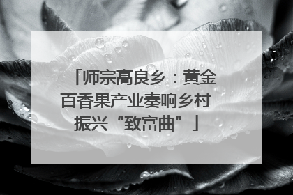 师宗高良乡：黄金百香果产业奏响乡村振兴“致富曲”