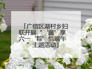 广信区湖村乡妇联开展“‘童’享六一‘粽’情端午”主题活动