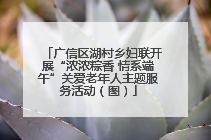 广信区湖村乡妇联开展“浓浓粽香 情系端午”关爱老年人主题服务活动（图）