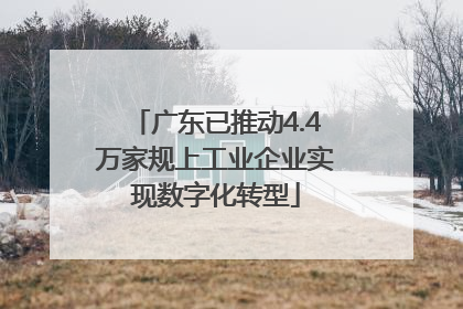 广东已推动4.4万家规上工业企业实现数字化转型