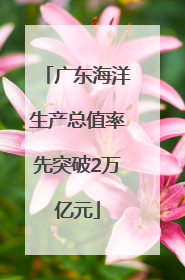 广东海洋生产总值率先突破2万亿元
