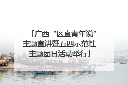 广西“区直青年说”主题宣讲暨五四示范性主题团日活动举行