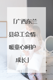 广西东兰县总工会情暖童心呵护成长
