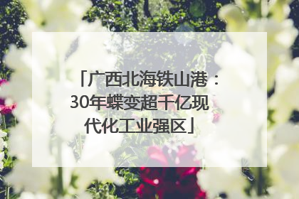 广西北海铁山港：30年蝶变超千亿现代化工业强区