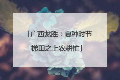 广西龙胜：夏种时节 梯田之上农耕忙