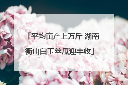 平均亩产上万斤 湖南衡山白玉丝瓜迎丰收