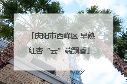 庆阳市西峰区 早熟红杏“云”端飘香