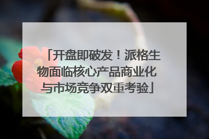 开盘即破发！派格生物面临核心产品商业化与市场竞争双重考验