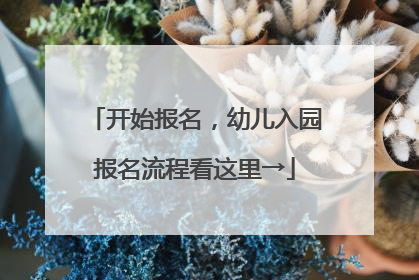 开始报名，幼儿入园报名流程看这里→