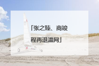 张之臻、商竣程再退温网
