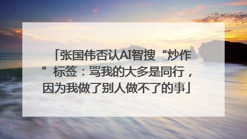 张国伟否认AI智搜“炒作”标签：骂我的大多是同行，因为我做了别人做不了的事