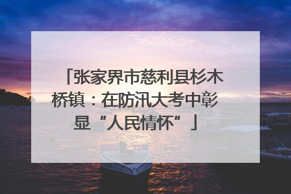 张家界市慈利县杉木桥镇：在防汛大考中彰显“人民情怀”