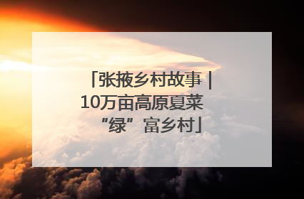 张掖乡村故事｜10万亩高原夏菜“绿”富乡村