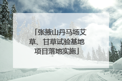 张掖山丹马场艾草、甘草试验基地项目落地实施