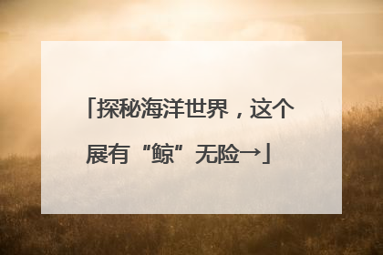 探秘海洋世界，这个展有“鲸”无险→