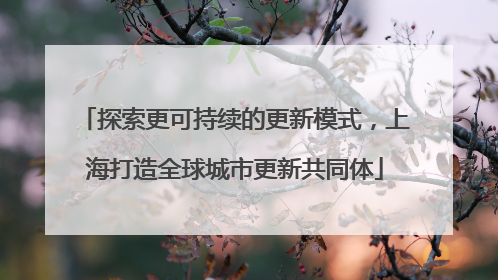 探索更可持续的更新模式，上海打造全球城市更新共同体