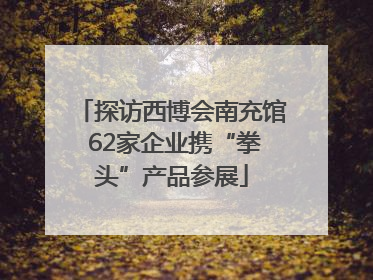 探访西博会南充馆 62家企业携“拳头”产品参展