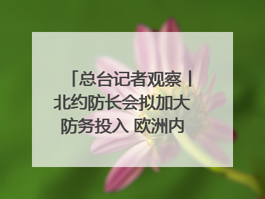 总台记者观察丨北约防长会拟加大防务投入 欧洲内部分歧难掩