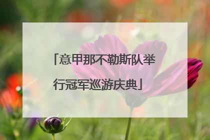 意甲那不勒斯队举行冠军巡游庆典