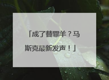 成了替罪羊？马斯克最新发声！