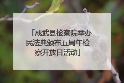 成武县检察院举办民法典颁布五周年检察开放日活动
