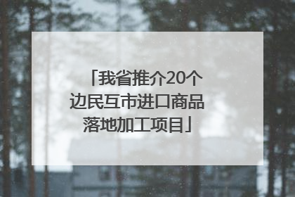 我省推介20个边民互市进口商品落地加工项目