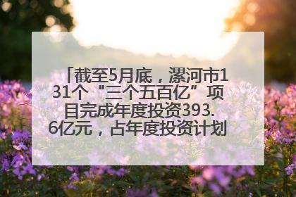 截至5月底，漯河市131个“三个五百亿”项目完成年度投资393.6亿元，占年度投资计划的50.41%——“三个五百亿”项目带动产业提质升级