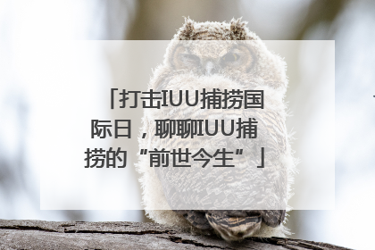 打击IUU捕捞国际日，聊聊IUU捕捞的“前世今生”