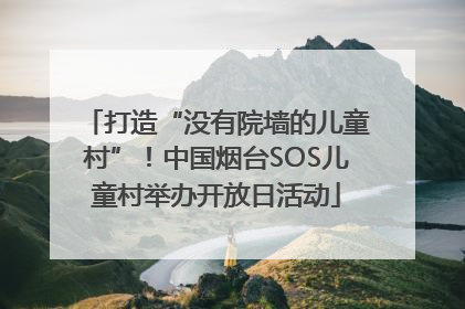 打造“没有院墙的儿童村”！中国烟台SOS儿童村举办开放日活动
