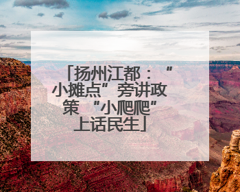 扬州江都：“小摊点”旁讲政策 “小爬爬”上话民生