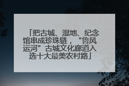 把古城、湿地、纪念馆串成珍珠链，“鲁风运河”古城文化廊道入选十大最美农村路