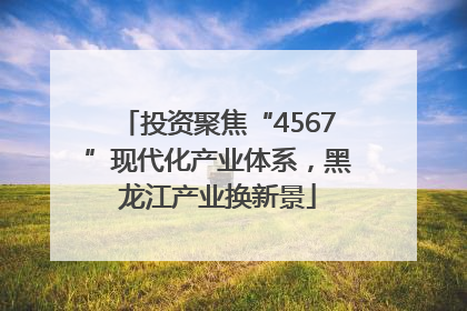 投资聚焦“4567”现代化产业体系，黑龙江产业换新景