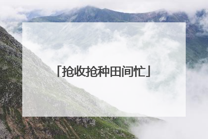 抢收抢种田间忙