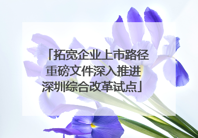 拓宽企业上市路径 重磅文件深入推进深圳综合改革试点