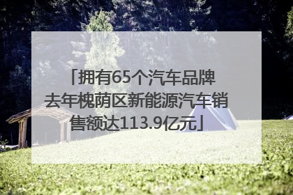 拥有65个汽车品牌 去年槐荫区新能源汽车销售额达113.9亿元