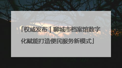 权威发布｜聊城市档案馆数字化赋能打造便民服务新模式