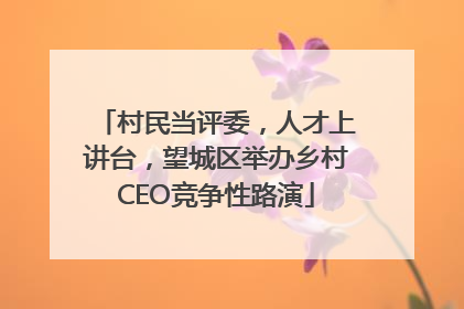 村民当评委，人才上讲台，望城区举办乡村CEO竞争性路演