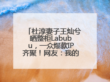 杜淳妻子王灿兮晒整柜Labubu，一众爆款IP齐聚！网友：我的 “梦中情柜”