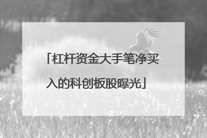 杠杆资金大手笔净买入的科创板股曝光