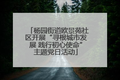 杨园街道欧景苑社区开展“寻根城市发展 践行初心使命”主题党日活动