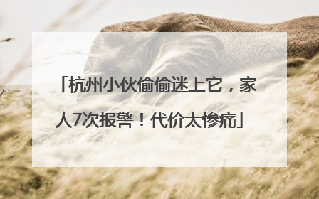 杭州小伙偷偷迷上它，家人7次报警！代价太惨痛