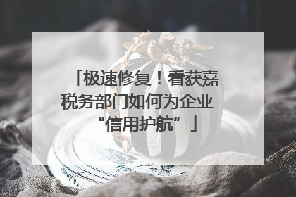 极速修复！看获嘉税务部门如何为企业“信用护航”