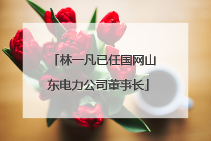 林一凡已任国网山东电力公司董事长
