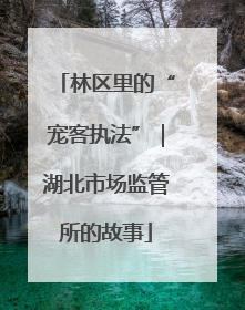 林区里的“宠客执法”｜湖北市场监管所的故事