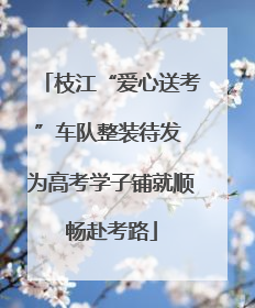 枝江“爱心送考”车队整装待发 为高考学子铺就顺畅赴考路